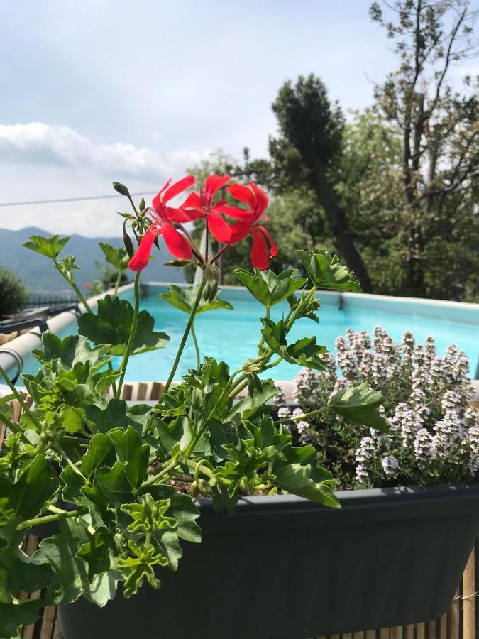 Villa Le Vignole Ameno Exterior foto
